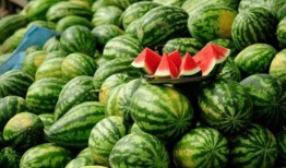 爬山网红吃瓜,揭秘娱乐圈幕后真相